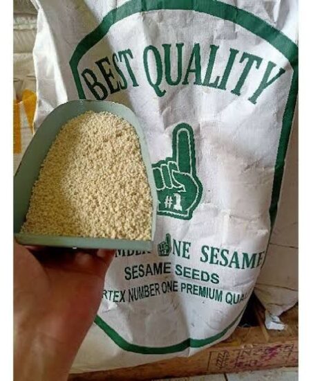 WhatsApp Image 2024-11-16 at 08.20.27 (2) WhatsApp Image 2024-11-16 at 08.20.27 (2)