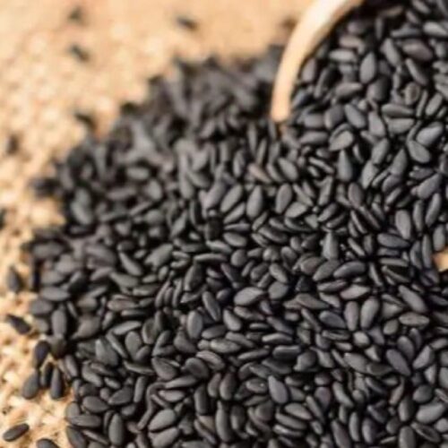 Wijen Hitam Wijen Hitam